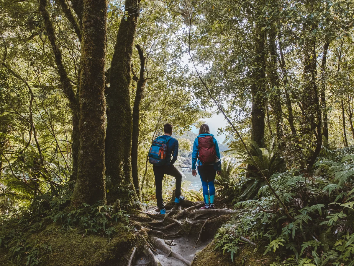 Hikers taking in the views at Lake Ada, Milford Track Day Walk at Milford Sound