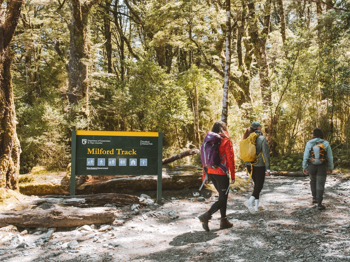 Day walkers headed onto the Milford Track for a day walk