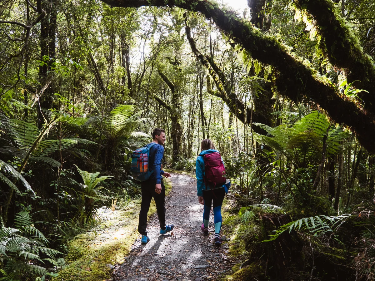 Milford Track Day Walk, Milford Sound